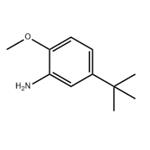 5-tert-Butyl-2-Methoxyaniline