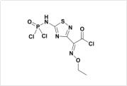 (Z)-5-[(dichlorophosphinyl)amino]-alpha-(ethoxyimino)-124-thiadiazol-3-acetyl chloride