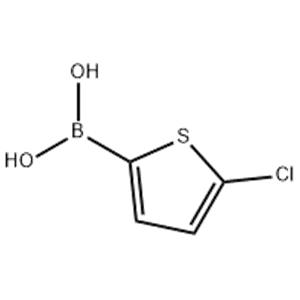 5-Chlorothiophene-2-boronic acid