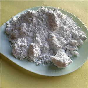 Cilastatin