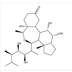 Epibrassinolide