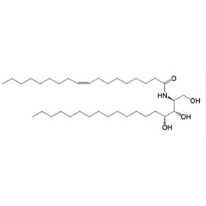 Ceramide NP2