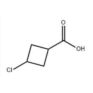 	3-CHLOROCYCLOBUTANECARBOXYLIC ACID