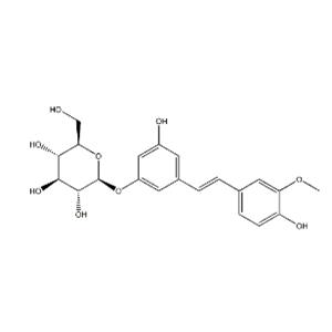 ISORHAPONTIN