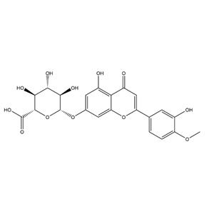 DiosMetin 7-O-β-D-Glucuronide