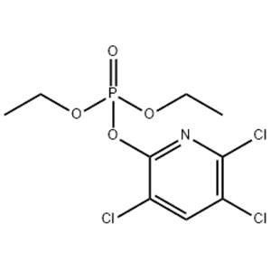 CHLORPYRIFOS-OXON