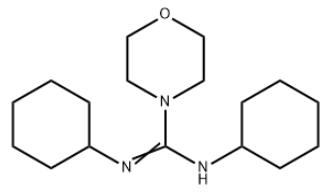 LABOTEST-BB LT00159596