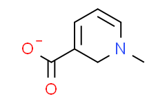 Trigonelline