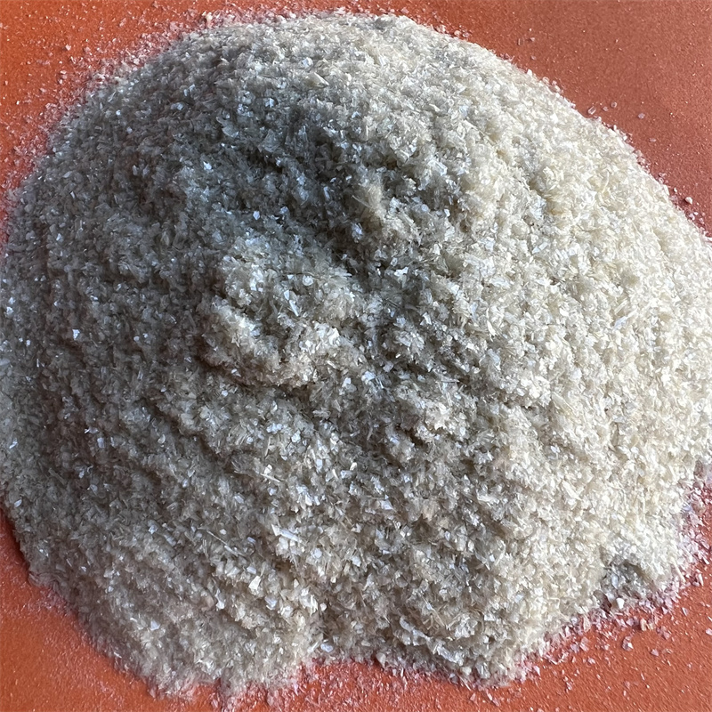 fumagillin bicyclohexylamine