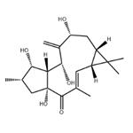 7-beta-Hydroxylathyrol