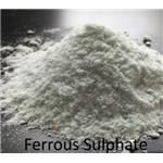 Ferrous Sulfate Heptahydrate