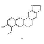 Thalifendine chloride