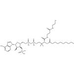 Decanoyl coenzyme A monohydrate