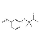 3-(1,1,2,2-TETRAFLUOROETHOXY)BENZALDEHYDE pictures