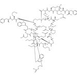 Lactoferrin