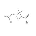 trans-Pinic acid