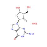 entecavir monohydrate