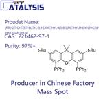 (R,R)-2,7-DI-TERT-BUTYL-9,9-DIMETHYL-4,5-BIS(METHYLPHENYLPHOSPHINO)XANTHENE