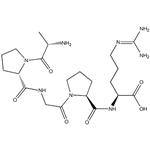 Alkaline Phosphatase