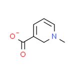 Trigonelline