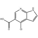 1H-Pyrrolo[2,3-b]pyridine-5-carboxylic acid, 4-chloro-