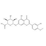 DiosMetin 7-O-β-D-Glucuronide pictures