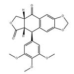 Picropodophyllotoxone