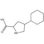 STREPTOKINASE