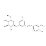 ISORHAPONTIN