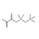 methacryloxypentamethyldisiloxane