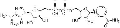 CAS # 53-84-9, beta-Diphosphopyridine nucleotide, beta-Nicotinamide adenine dinucleotide, beta-DPN, beta-NAD