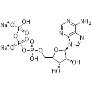 Adenosine 5'-triphosphate disodium salt,ATP-Na2; 5'-ATP-Na2