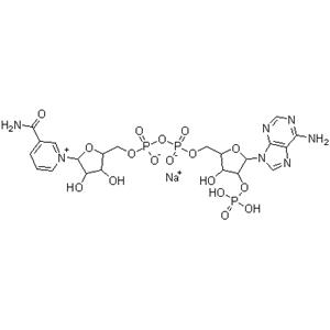 beta-Nicotinamide adenine dinucleotide phosphate sodium salt,Beta-NADP-Na