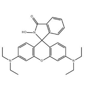 N-hydroxy Rhodamine B amide