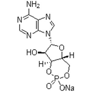 Adenosine 3',5'-cyclic monophosphate sodium salt；Cyclic AMP Na; 3:5-CAMP Na; 3',5'-CYCLIC AMP Na