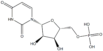 Polyuridylic acid potassium salt；Poly U-K,Poly U