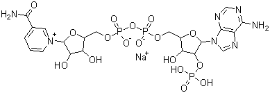 beta-Nicotinamide adenine dinucleotide phosphate sodium salt,Beta-NADP-Na