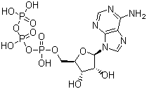 Adenosine 5'-triphosphate; ATP-,5'-ATP