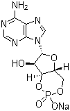 Adenosine 3',5'-cyclic monophosphate sodium salt；Cyclic AMP Na; 3:5-CAMP Na; 3',5'-CYCLIC AMP Na