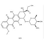 Doxorubicin Hydrochloride