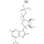 Polyadenosinic acid potassium salt,Poly A K;