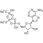 Adenosine 5'-triphosphate disodium salt,ATP-Na2; 5'-ATP-Na2