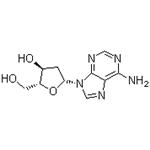 958-09-8 2'-Deoxyadenosine