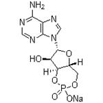 Adenosine 3',5'-cyclic monophosphate sodium salt；Cyclic AMP Na; 3:5-CAMP Na; 3',5'-CYCLIC AMP Na