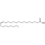 Nervonic Acid