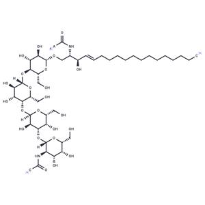 Globotetraosylceramides (porcine RBC)