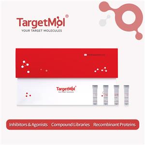 SMAD5 Protein, Mouse, Recombinant