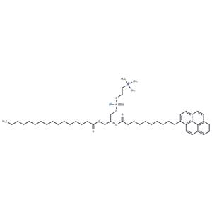 10-Pyrene-PC