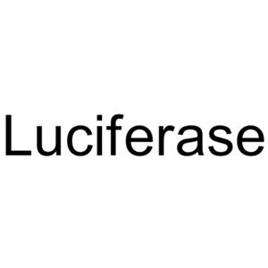 Luciferase