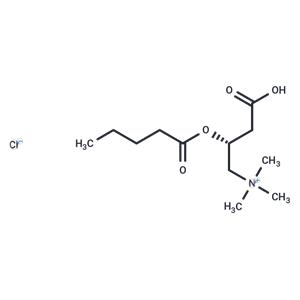 Valeryl-L-carnitine (chloride)